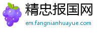精忠报国网